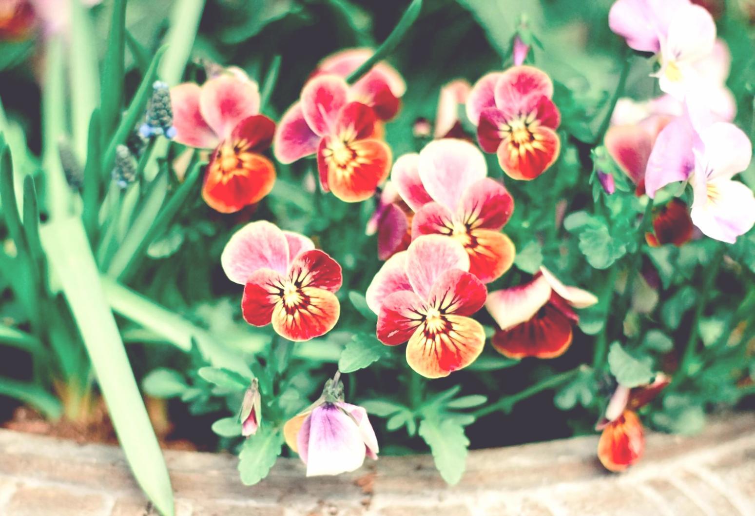 Hands-on floristry masterclass showing practical flower arrangement techniques